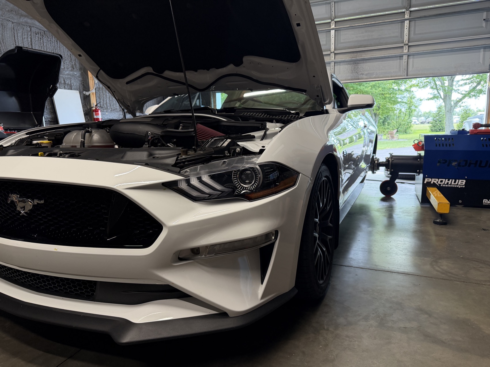 A white Mustang GT with the hood up in the shop bay, beside the ProHub dyno